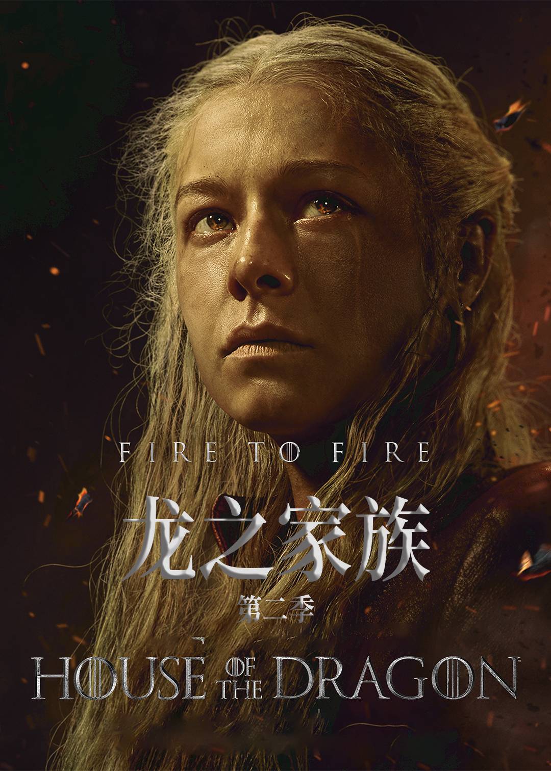 龙之家族 第二季封面图