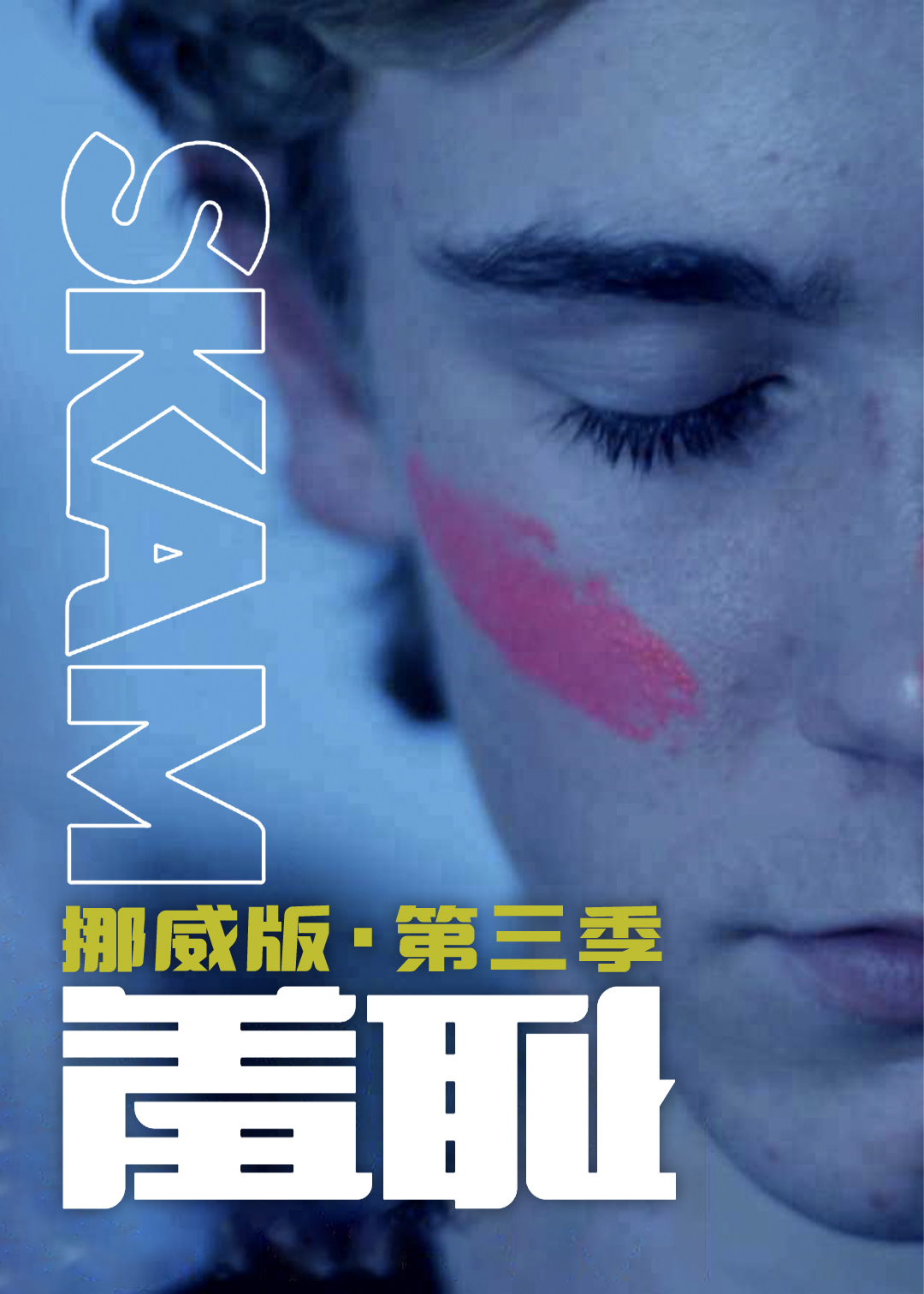 羞耻(挪威版) 第三季封面图